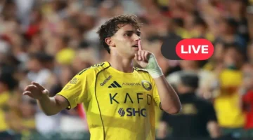 مباراة النصر والحزم بث مباشر.. طريقة المشاهدة المجانية عبر القنوات المفتوحة بالدوري السعودي